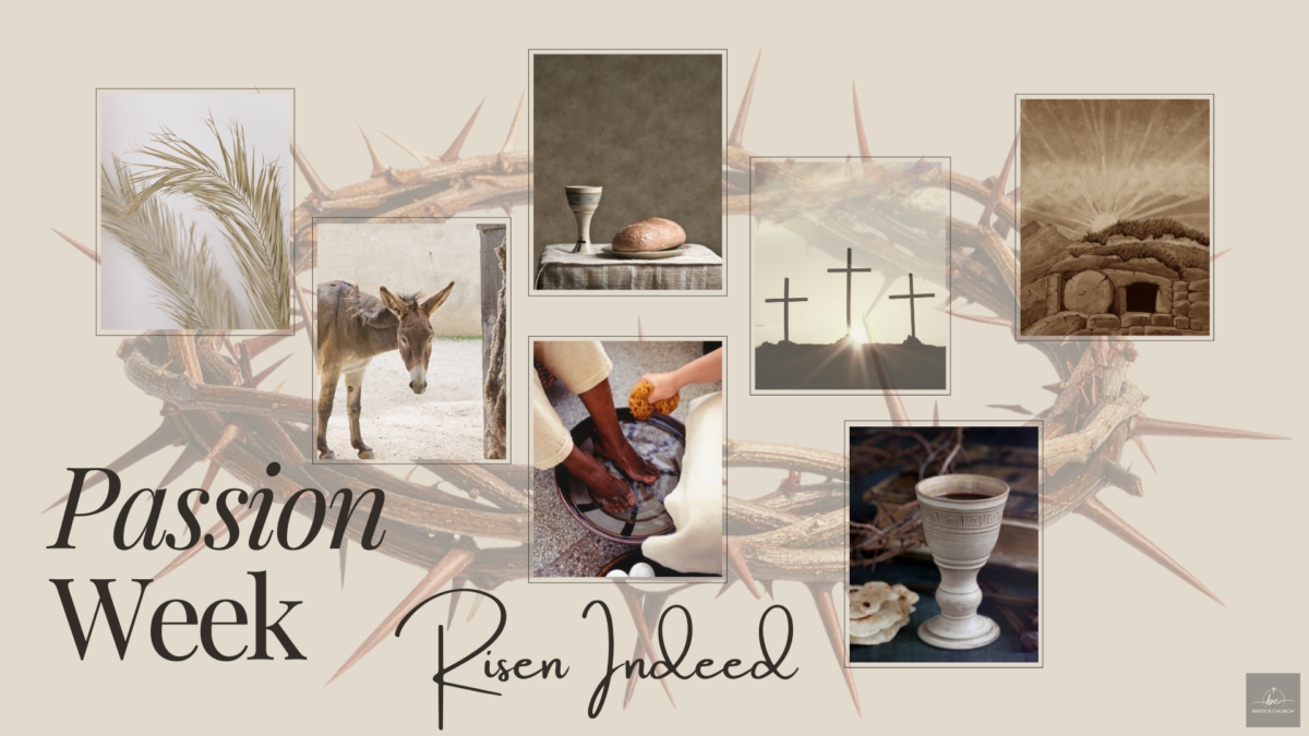 Passion Week - Palm Sunday: The King Arrives - Matthew 21:1-11 Image